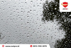 5 Tips Membuat Efek Daun Talas Kaca Mobil