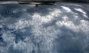 4 Cara Menghilangkan Noda Disinfektan di Mobil