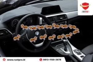 10 Cara Hilangkan Semut di Mobil, 100% Ampuh!