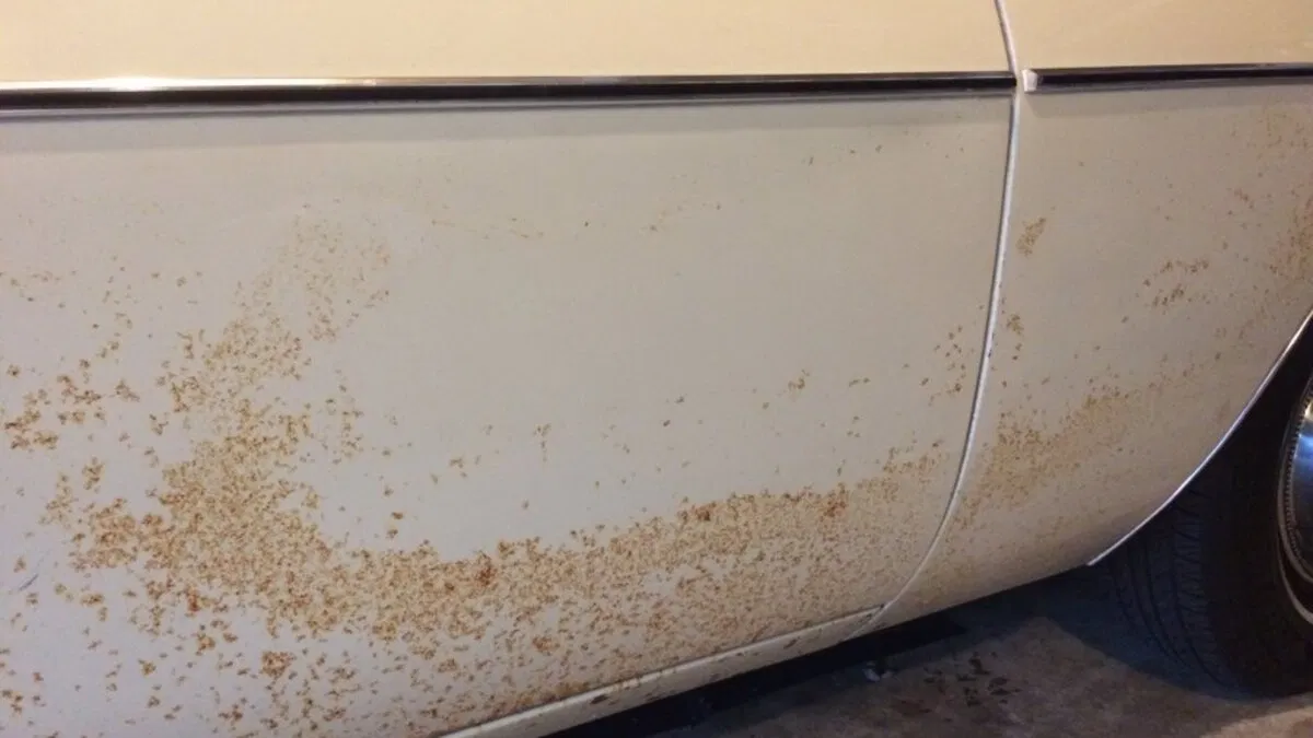 Anti Karat Mobil Suzuki XL7 di Koja