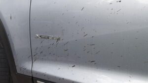 Anti Karat Mobil BR-V di Pontianak Barat