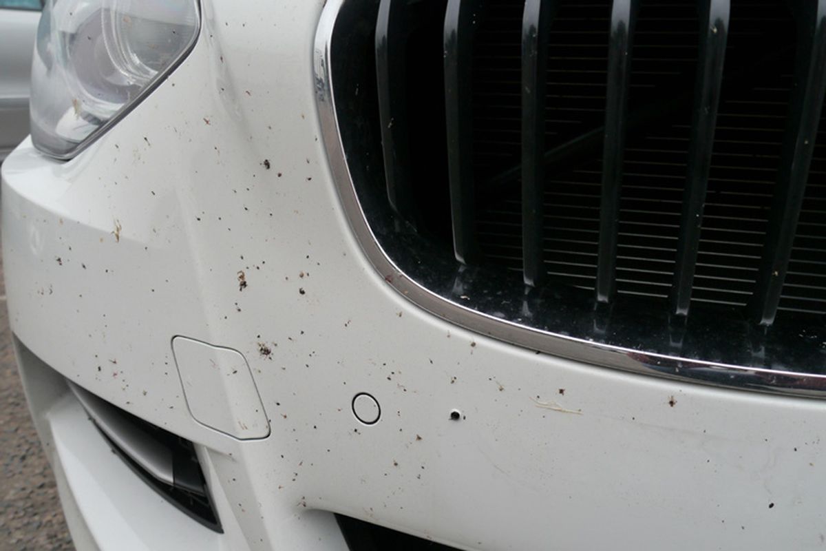 Anti Karat Mobil Resmi CRV di Sungaijawi Dalam