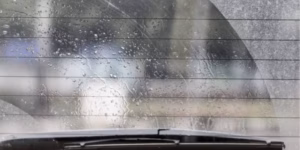 membersihkan jamur di kaca film